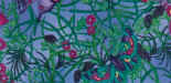 Butterfly_Fields.jpg (33931 bytes)