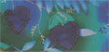 Moonglow_Hearts.jpg (13413 bytes)