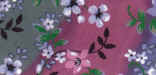 Moonlit_Garden.jpg (23967 bytes)