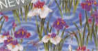 Iris_Pond.jpg (162403 bytes)