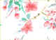 Cherry_Blossom.jpg (24420 bytes)